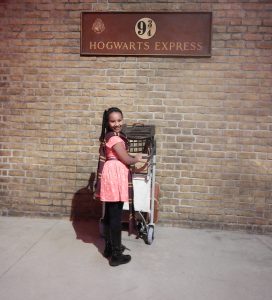 hawi-harry-potter-museum